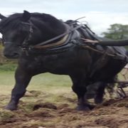 پیشینه و قدمت برندها در هنگام نوآوریهای بزرگ