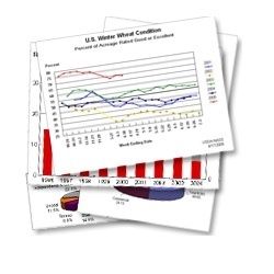 مفاهیم تحقیقات بازاریابی