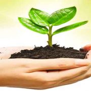 برندينگ اجتماعى