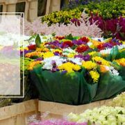 بازاریابی و فروش در عمده فروشی گل