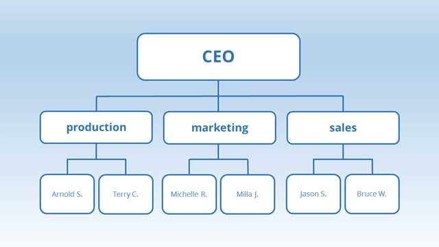 ساختار وظیفه ای
