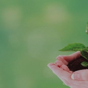 بازاریابی سبز گرین مارکتینگ