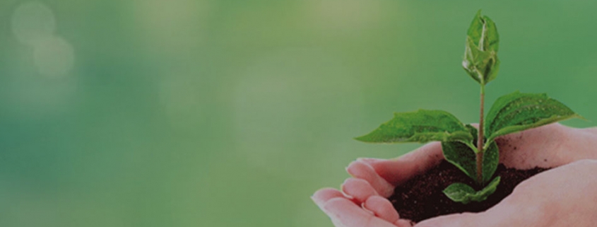 بازاریابی سبز گرین مارکتینگ