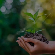 برندهای سبز