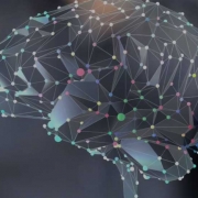 بازاریابی عصبی و مزیت آن در اقتصاد تجربه بازاریابی عصبی و مزیت آن در اقتصاد تجربه